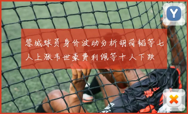 蓉城球员身价波动分析胡荷韬等七人上涨韦世豪费利佩等十人下跌